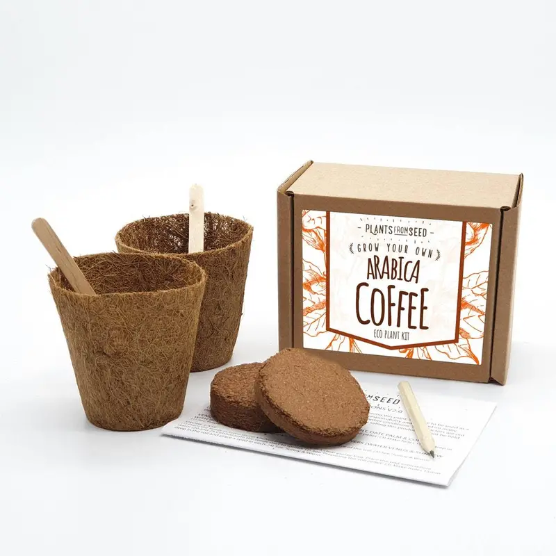 Arabica Coffee Seed-To-Harvest Growing Kit 1