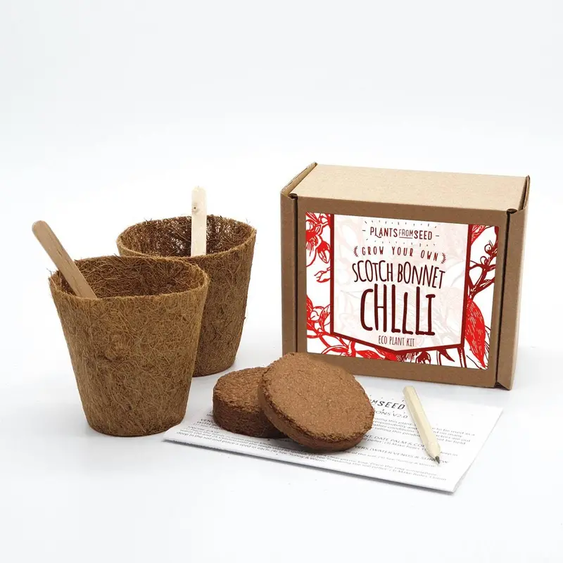 Chilli Pepper Plant Cultivation Kit 1