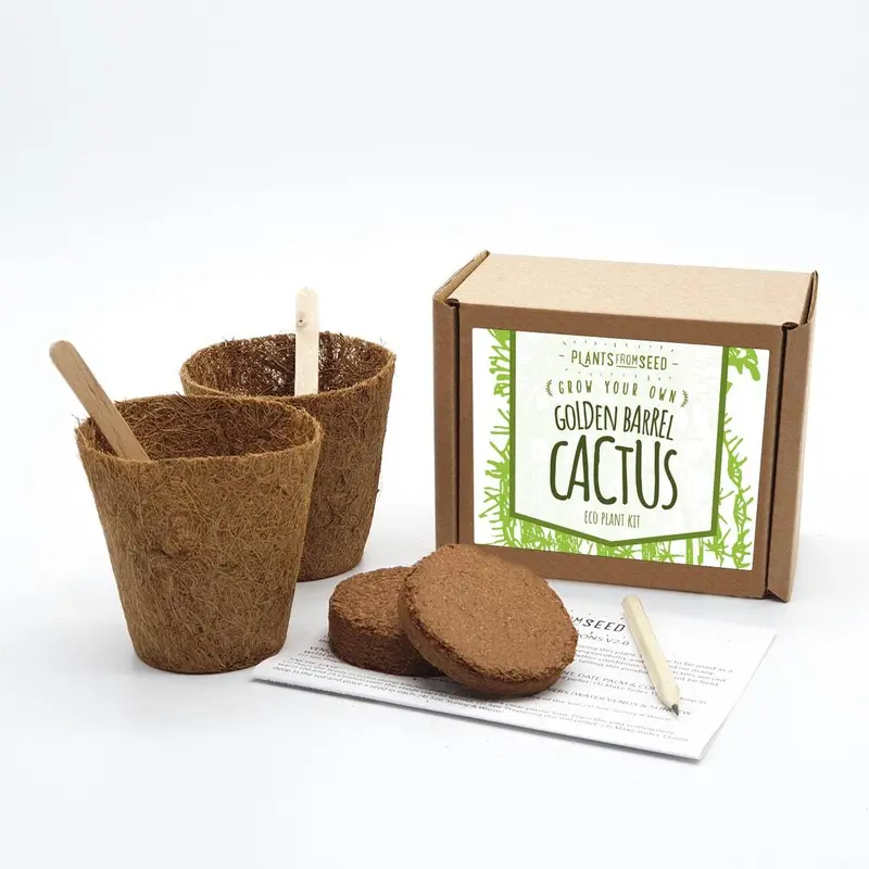 Diy Cactus Growing Kit – Complete Planting Set For Beginners 1