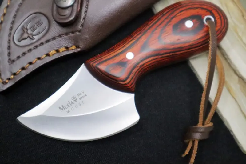 Muela Mouse-6R Fixed Blade – Coral Pakkawood Handle, X50Crmov15 Stainless Blade, Leather Sheath 1