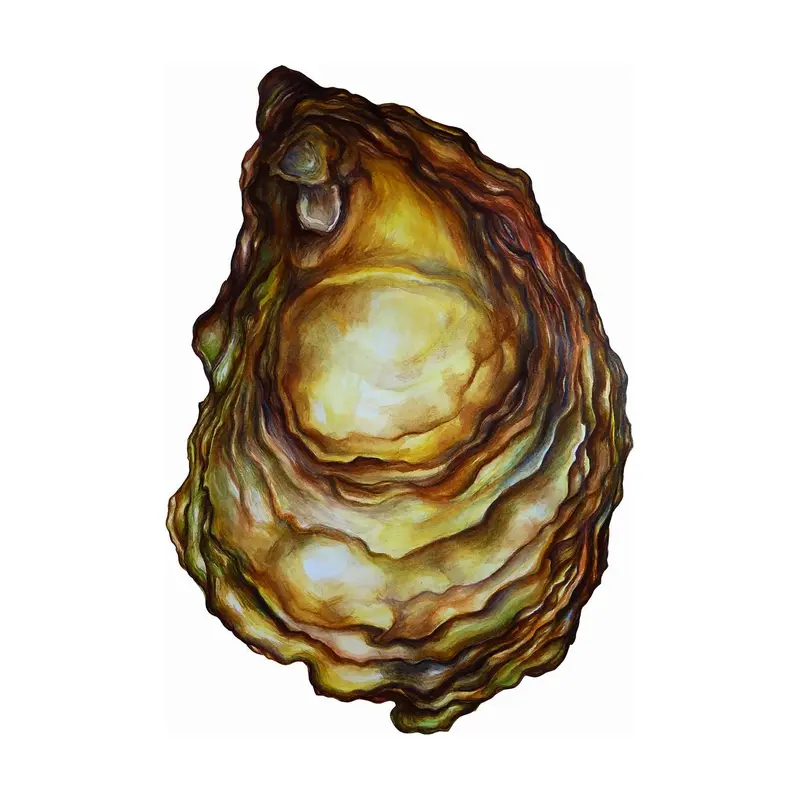 Sarah Nelson Fine Art Print: Oyster Still Life 1